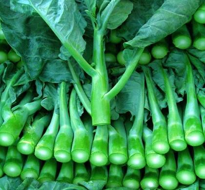 新鮮蔬菜配送:芥蘭